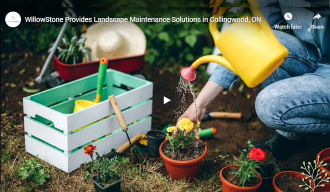 WillowStone: Reputable Landscape Maintenance  Company in Collingwood, ON