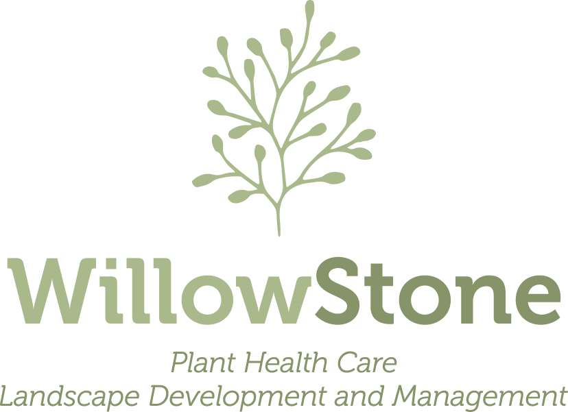 WillowStone